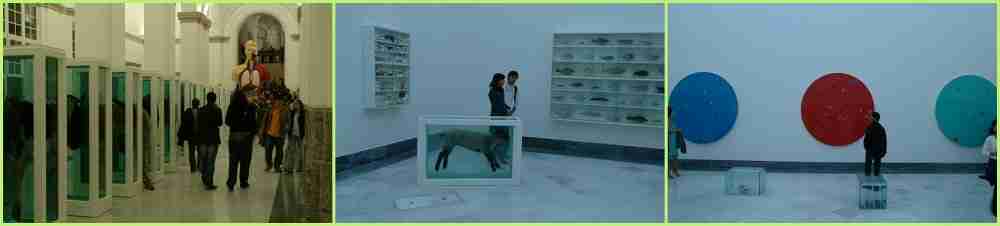 Mostra Damien Hirst Museo Nazionale
